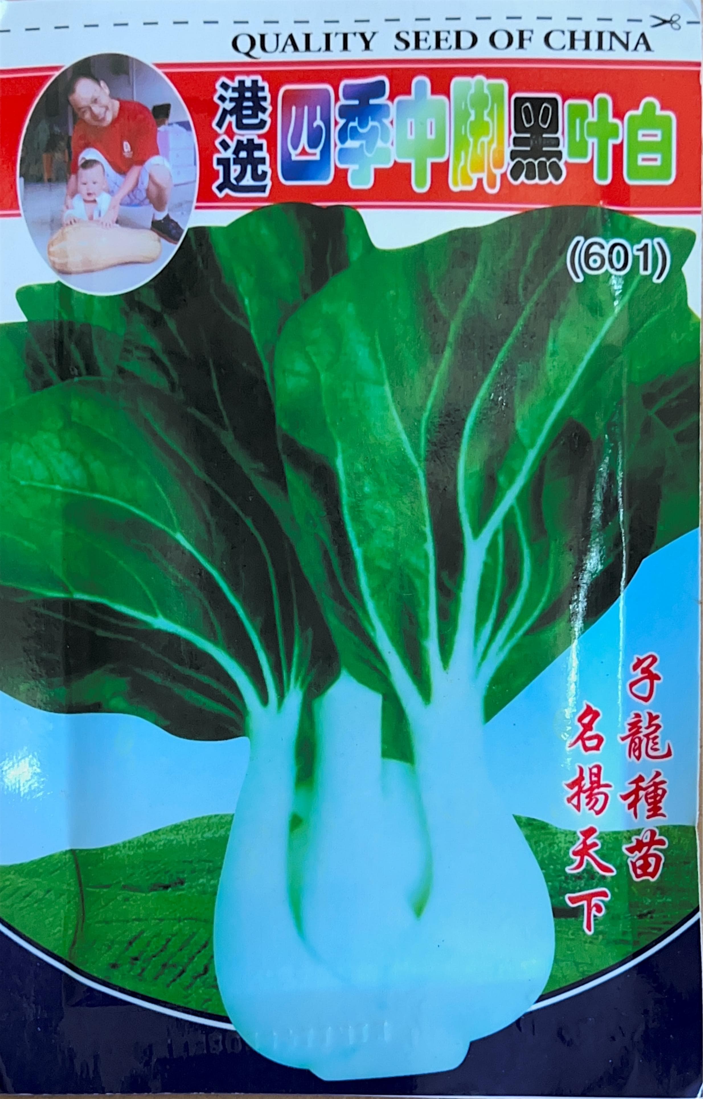 四季申 Misc Seeds