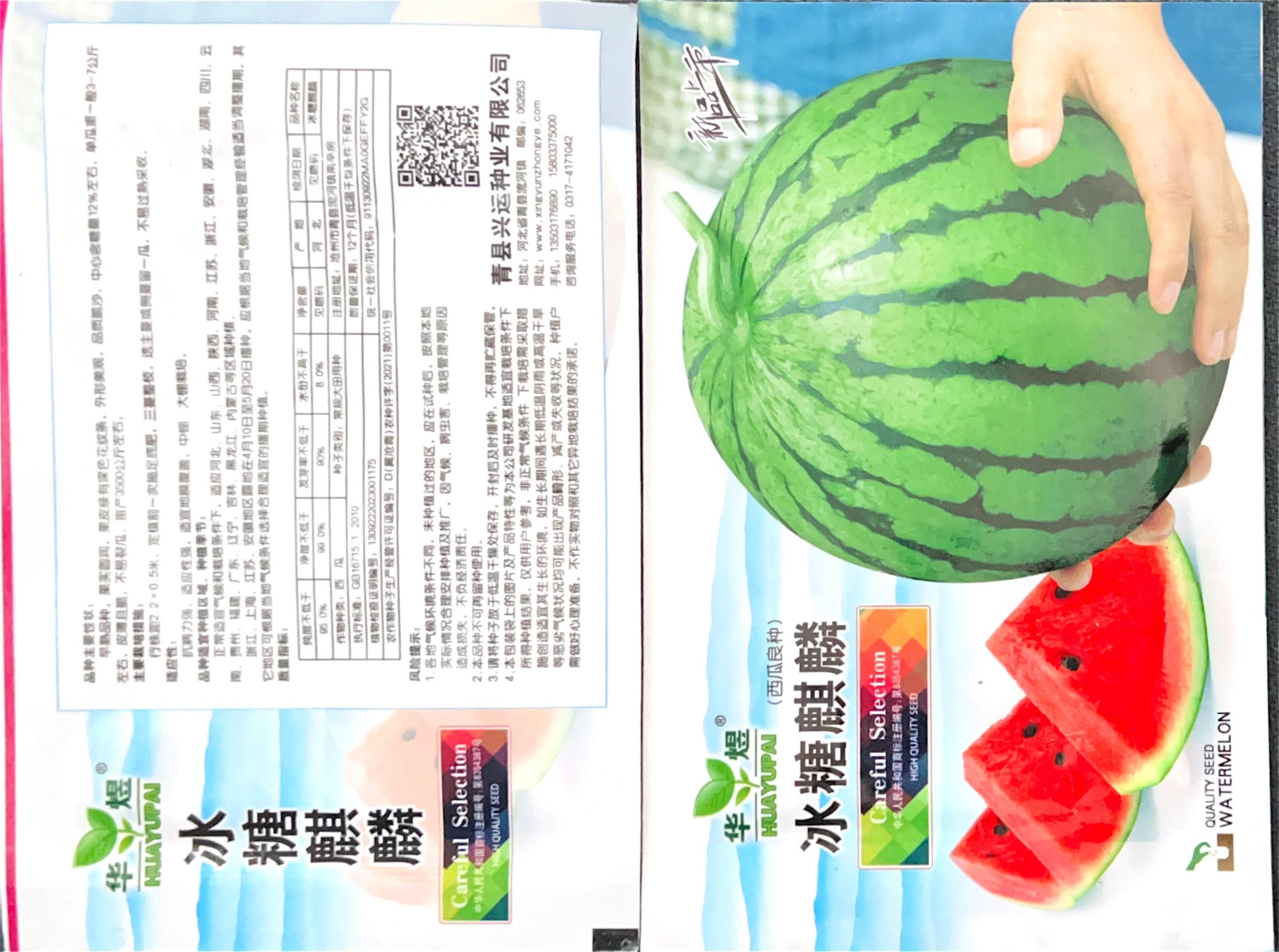 冰聰煎麟 Melon / Gourd Seeds