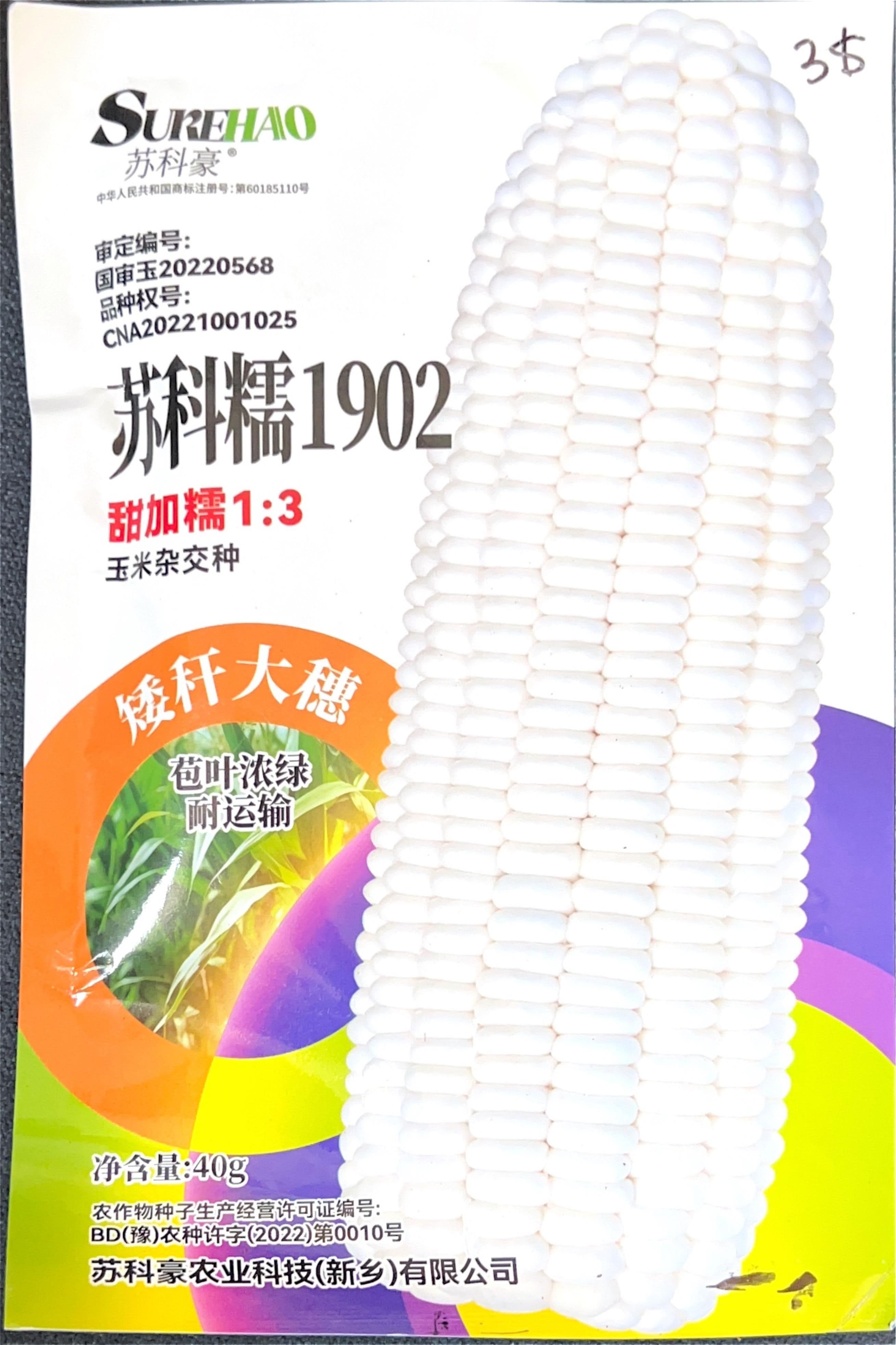 玉米杂交 Corn Seeds front