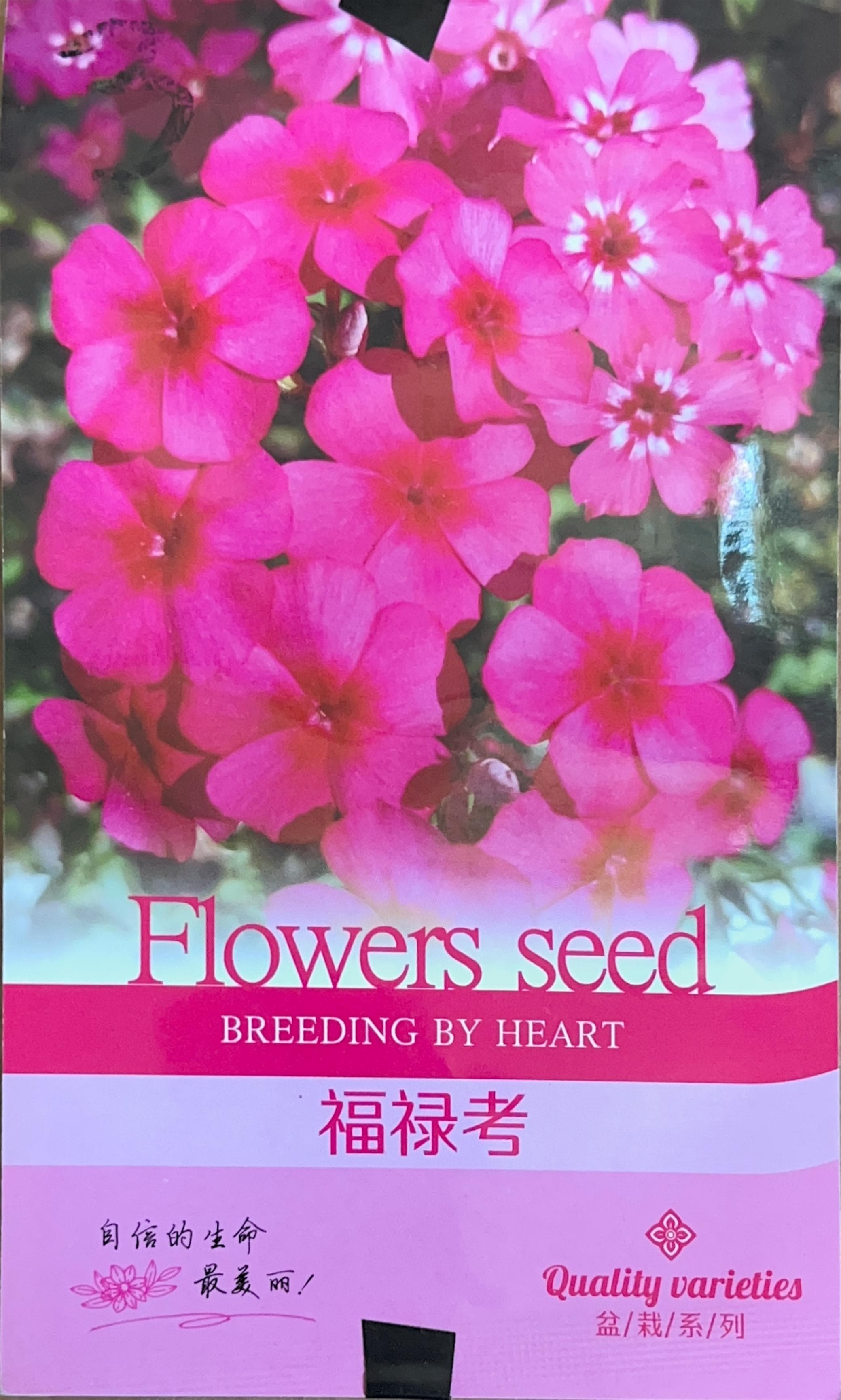 盆/栽/系/列 Misc Seeds
