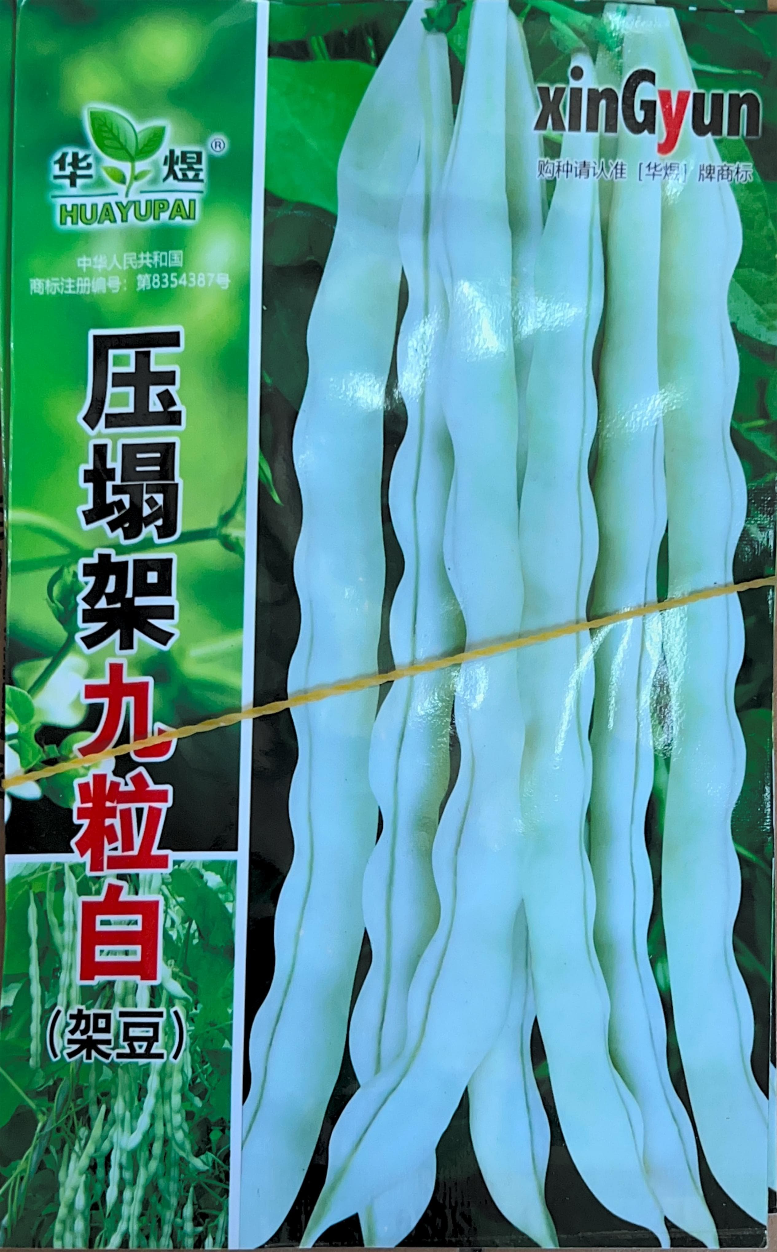 (架豆) Pole Bean Seeds