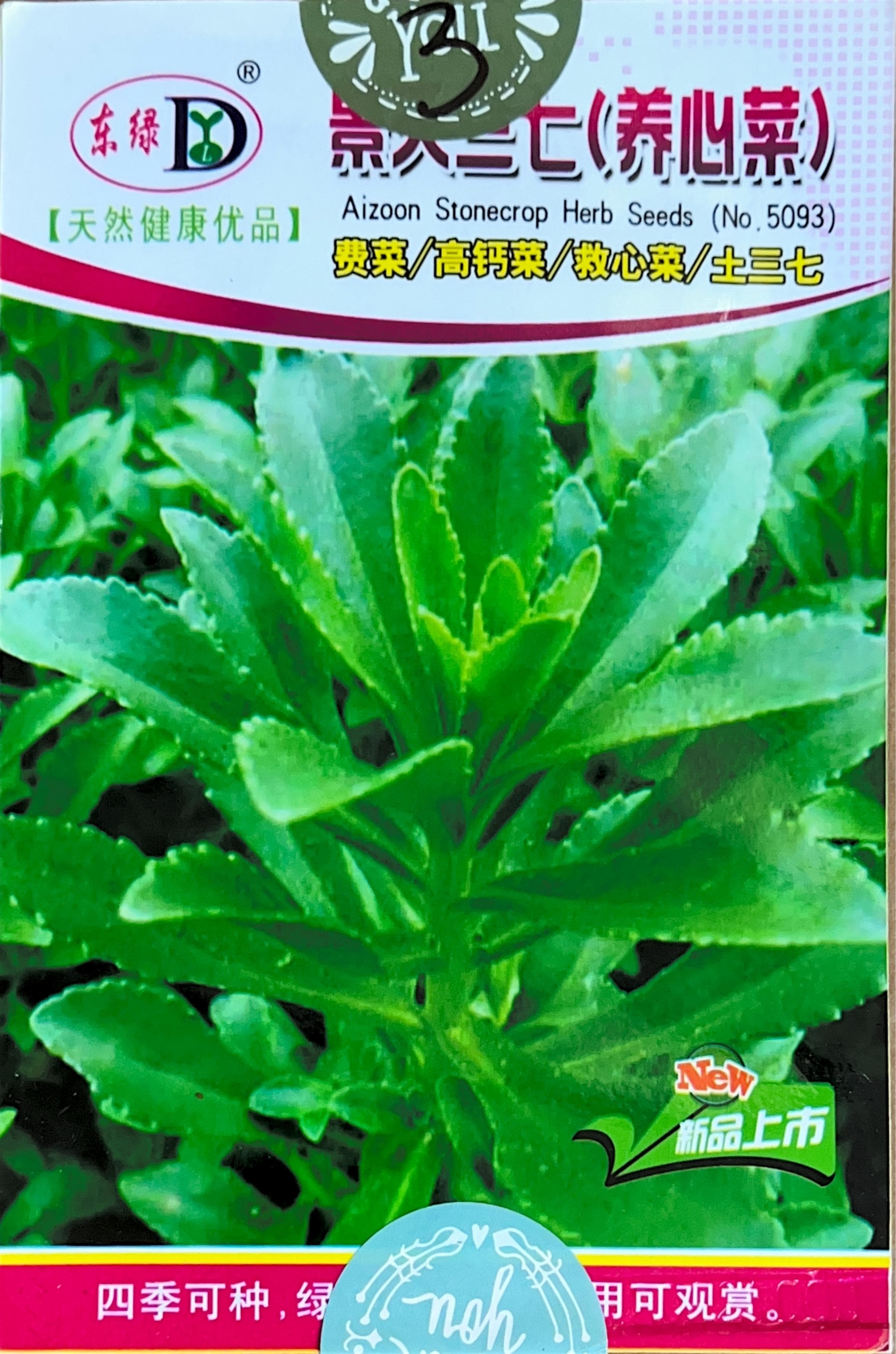 费菜/高钙菜/救心菜/士三七 Misc Seeds