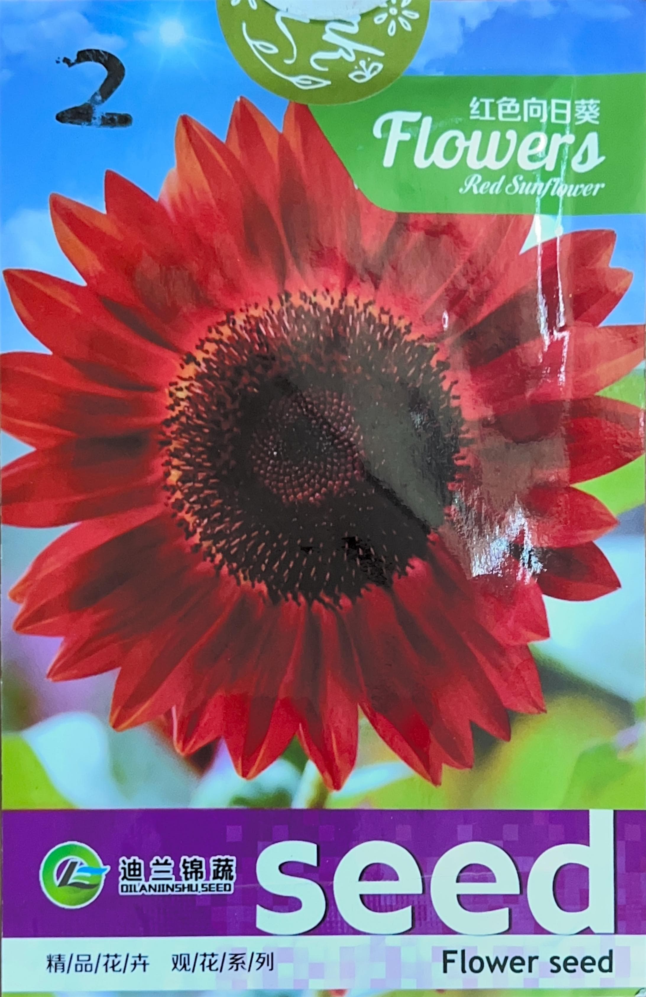 精/品/花/卉 观/花/系/列 Misc Seeds
