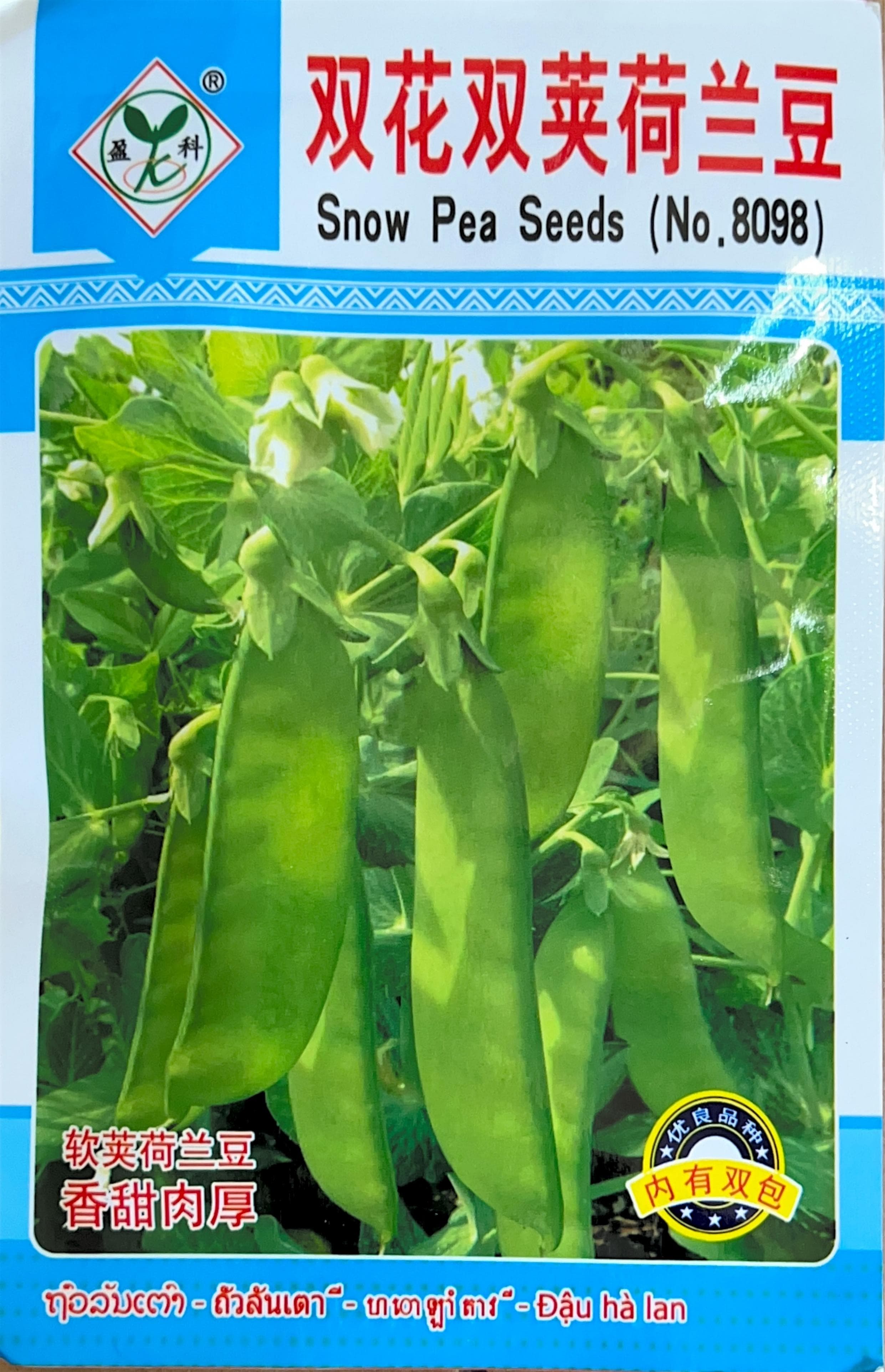 双花双荚荷兰豆 Snow Pea Seeds