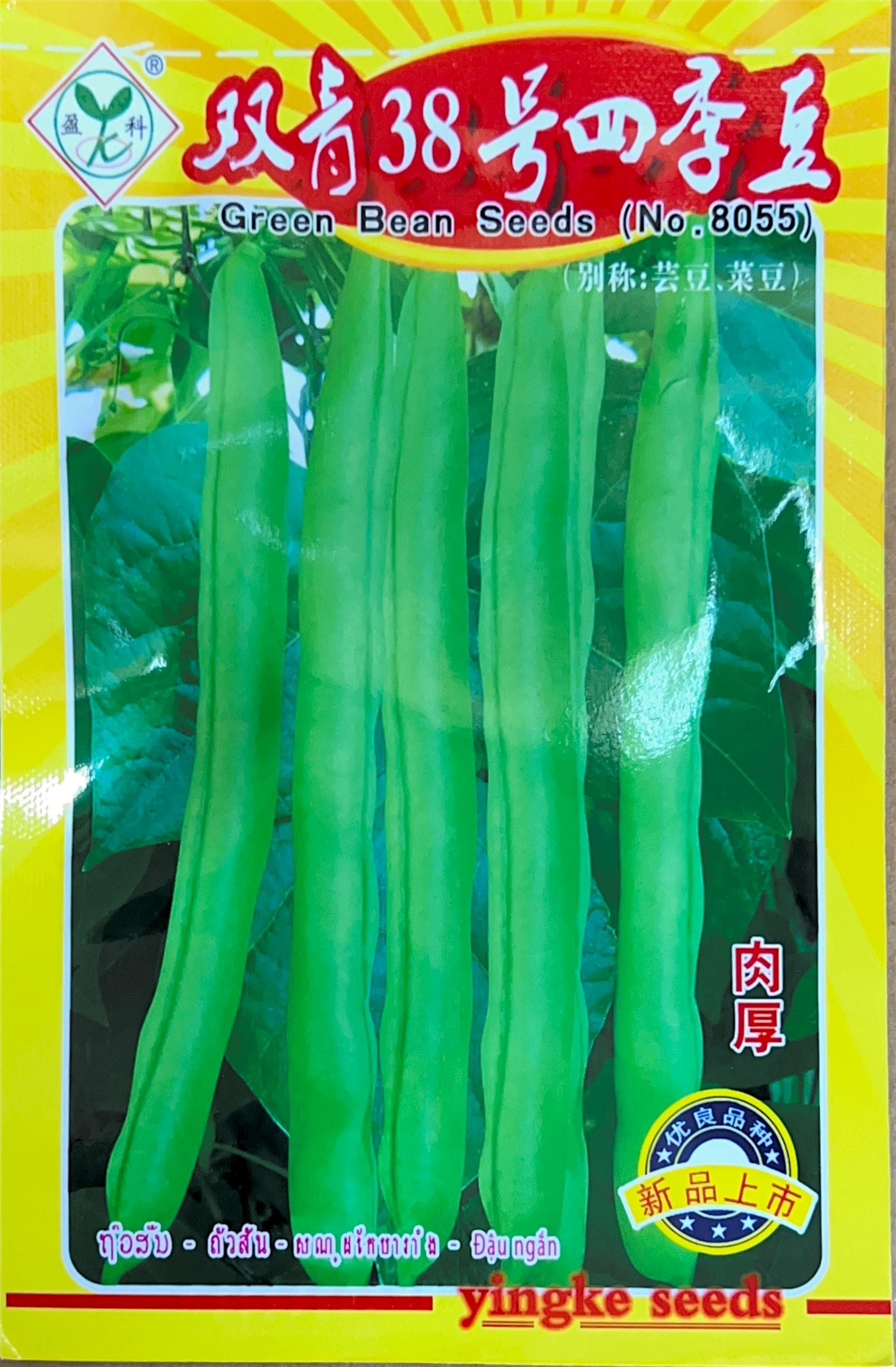 No. 38 Green Bean Seeds