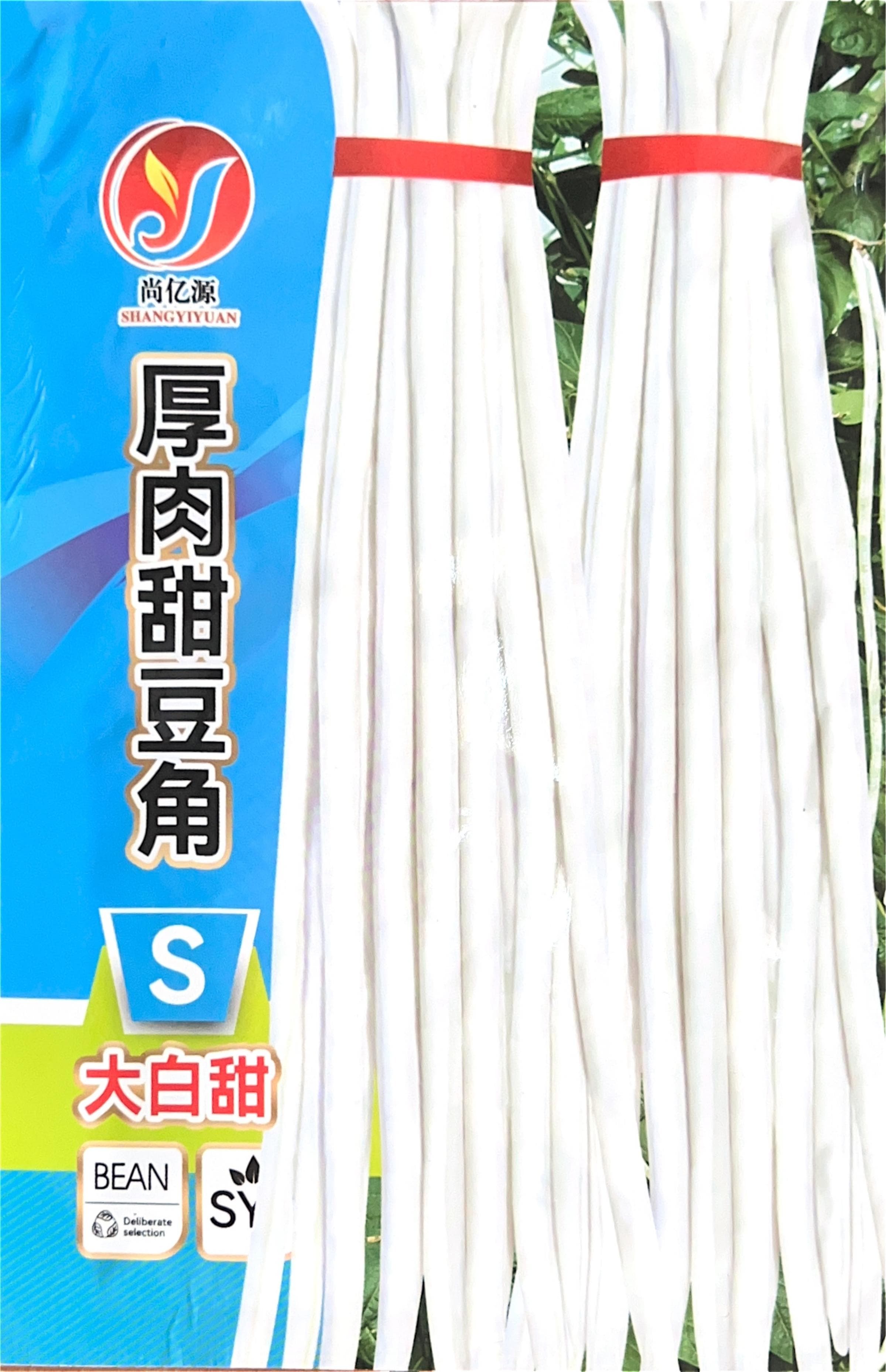 尚亿源 Misc Seeds