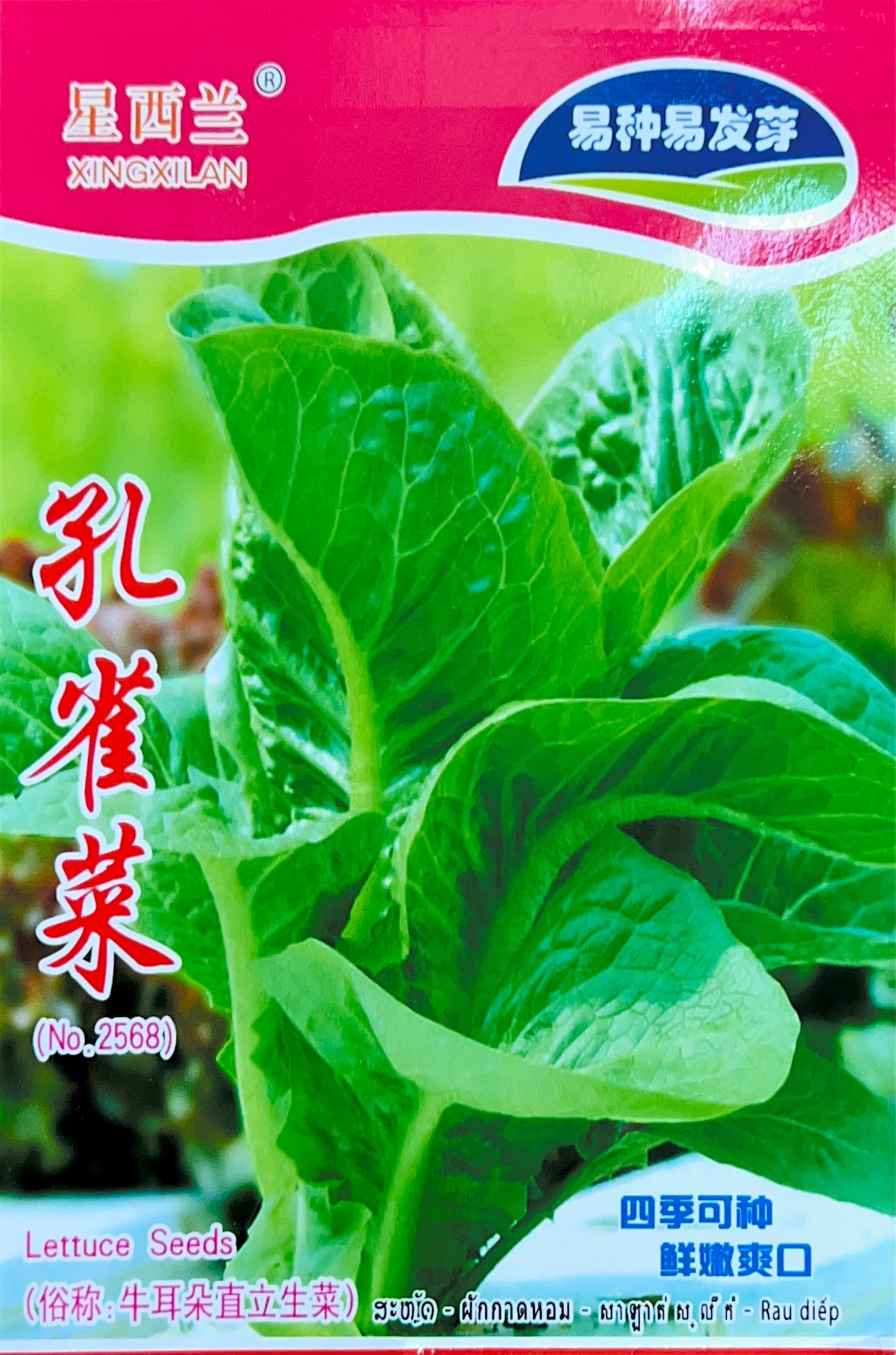 四季可秘 Misc Seeds