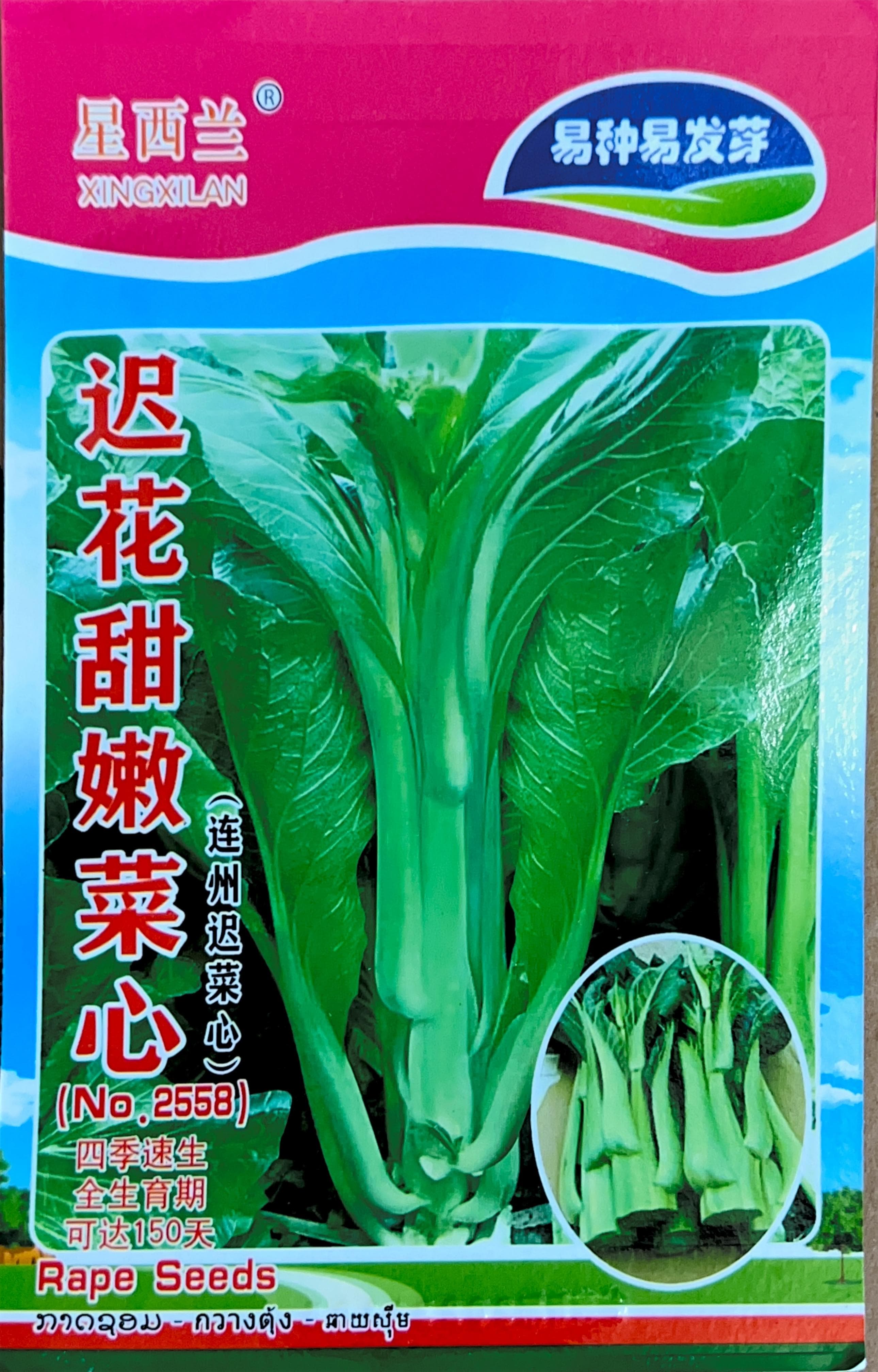 Four-Season Fast-Growing Rape Seeds