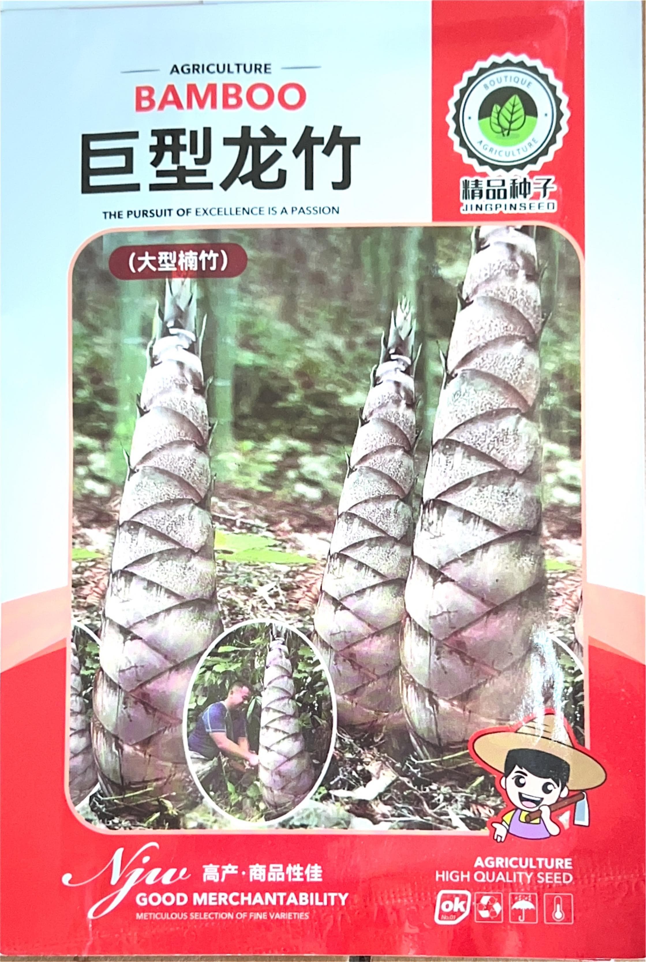 (大型楠竹) Misc Seeds