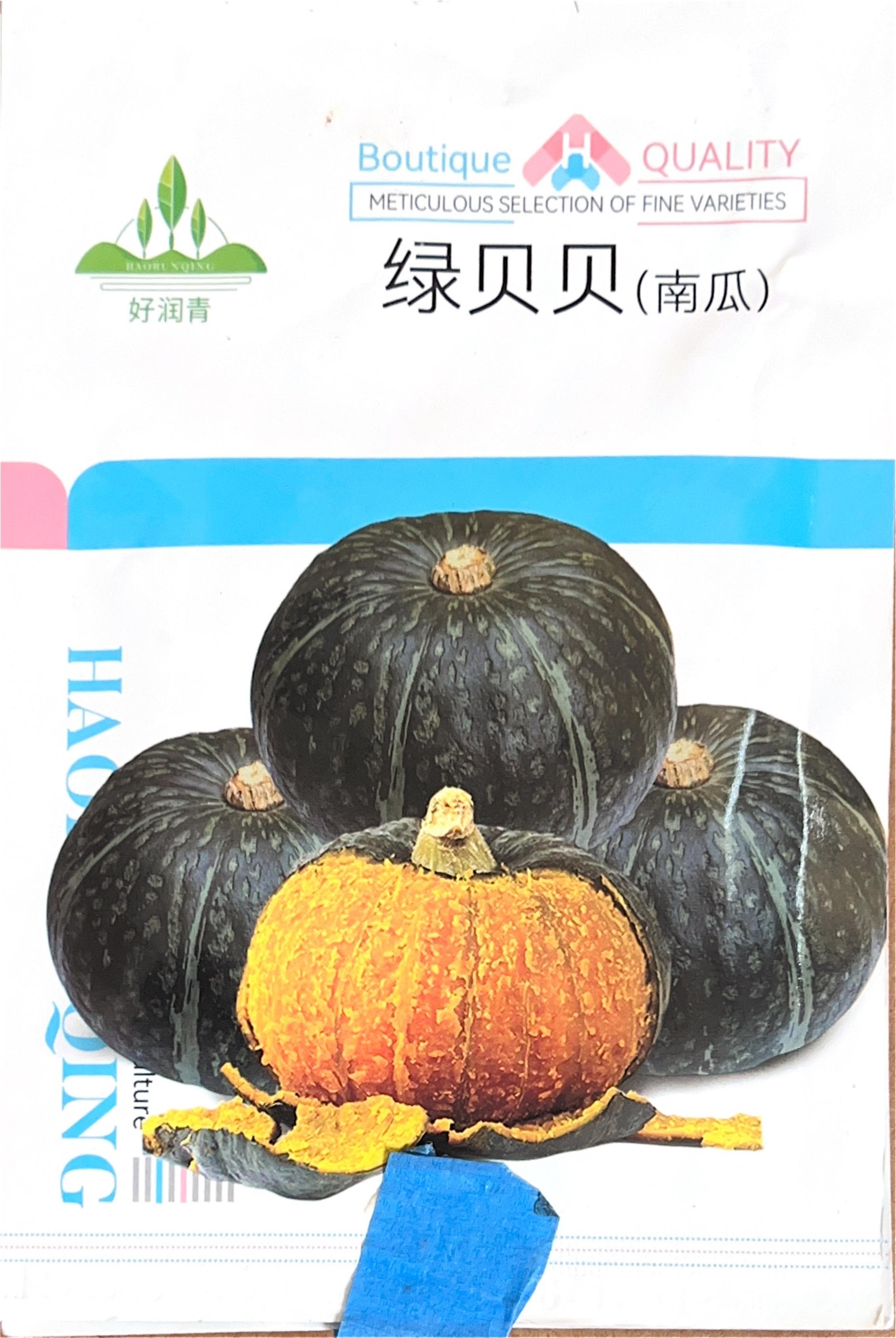 绿贝贝(南瓜) Pumpkin Seeds
