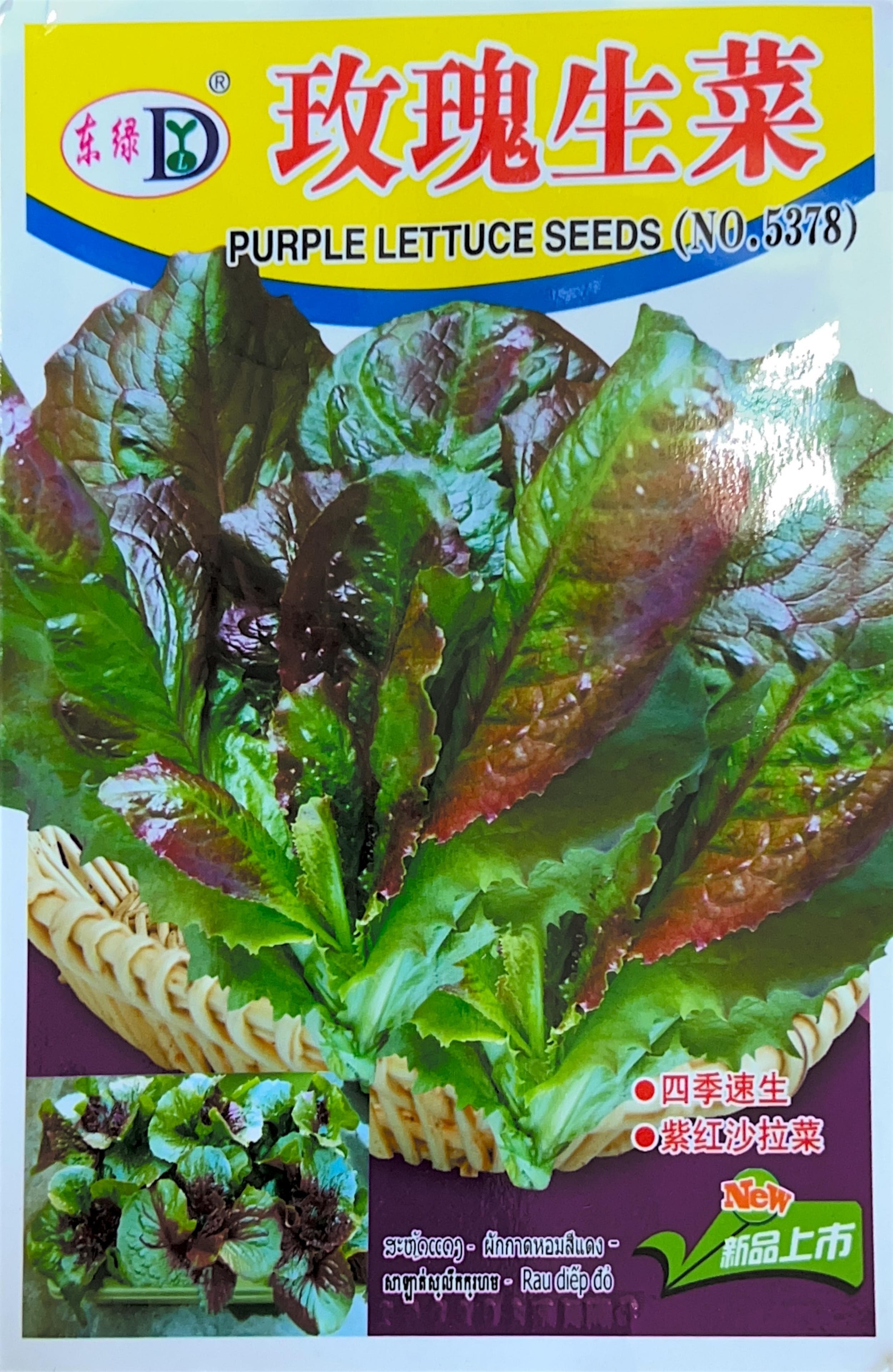 玫瑰生菜 Lettuce Seeds