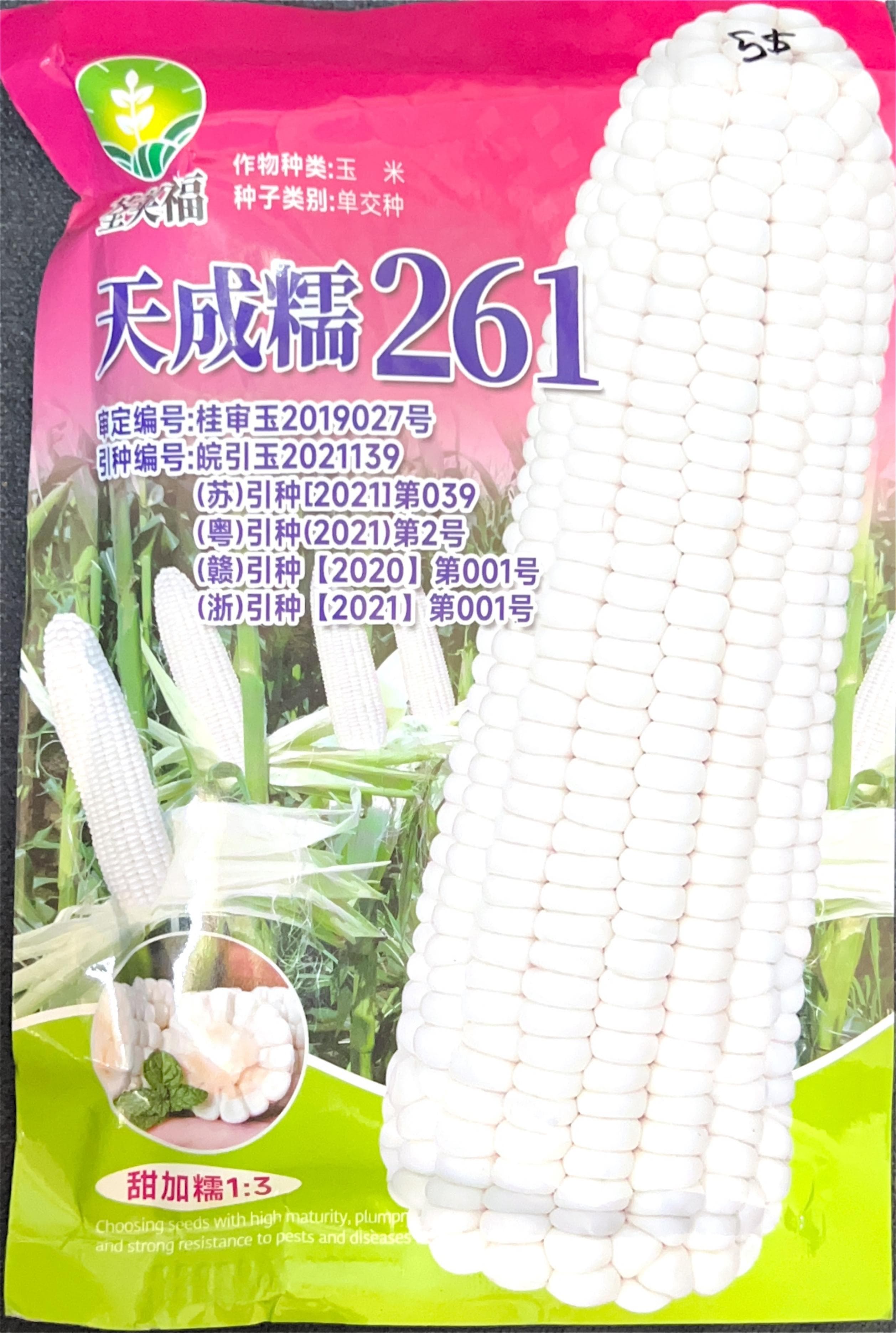 玉米 Corn Seeds front