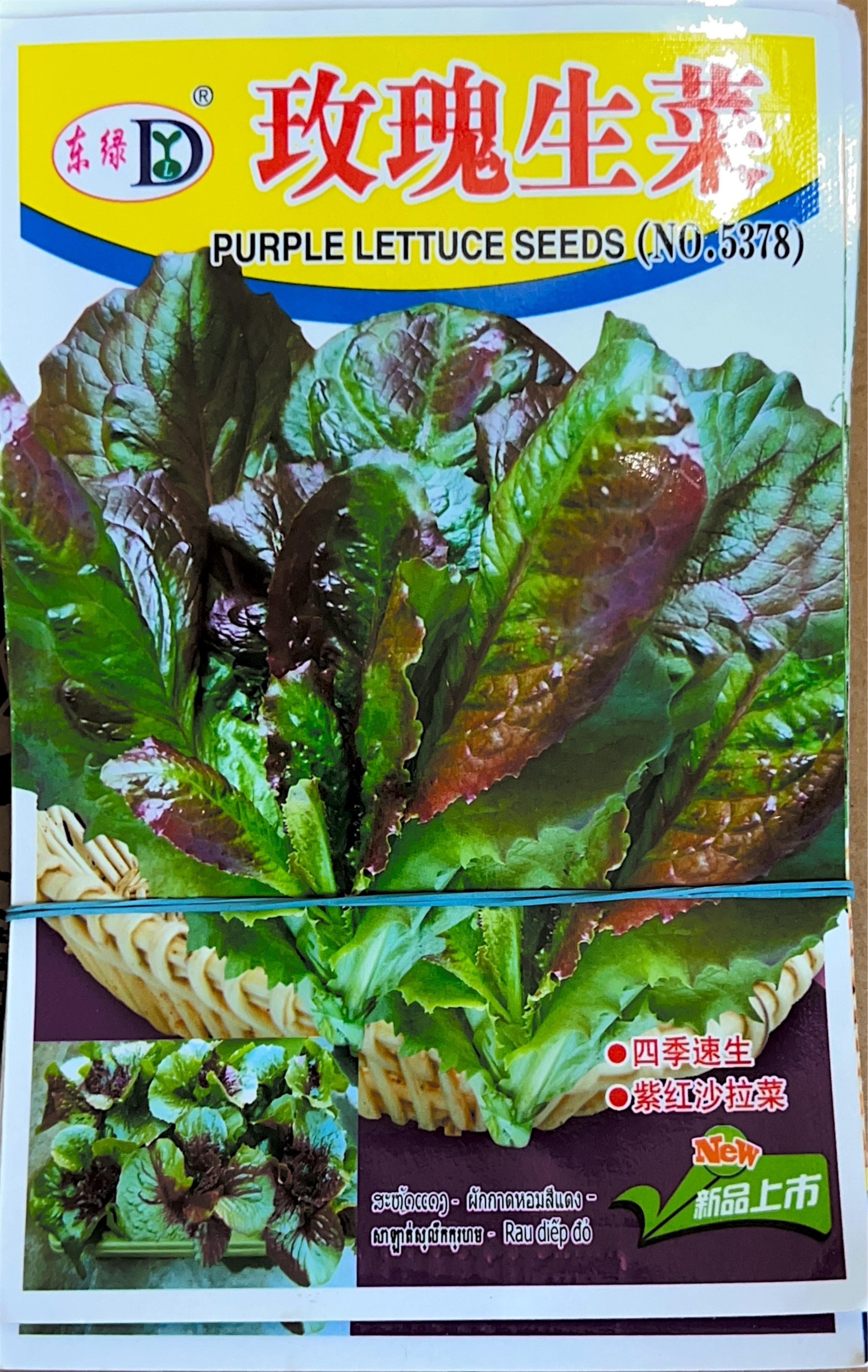 Rose Lettuce Seeds
