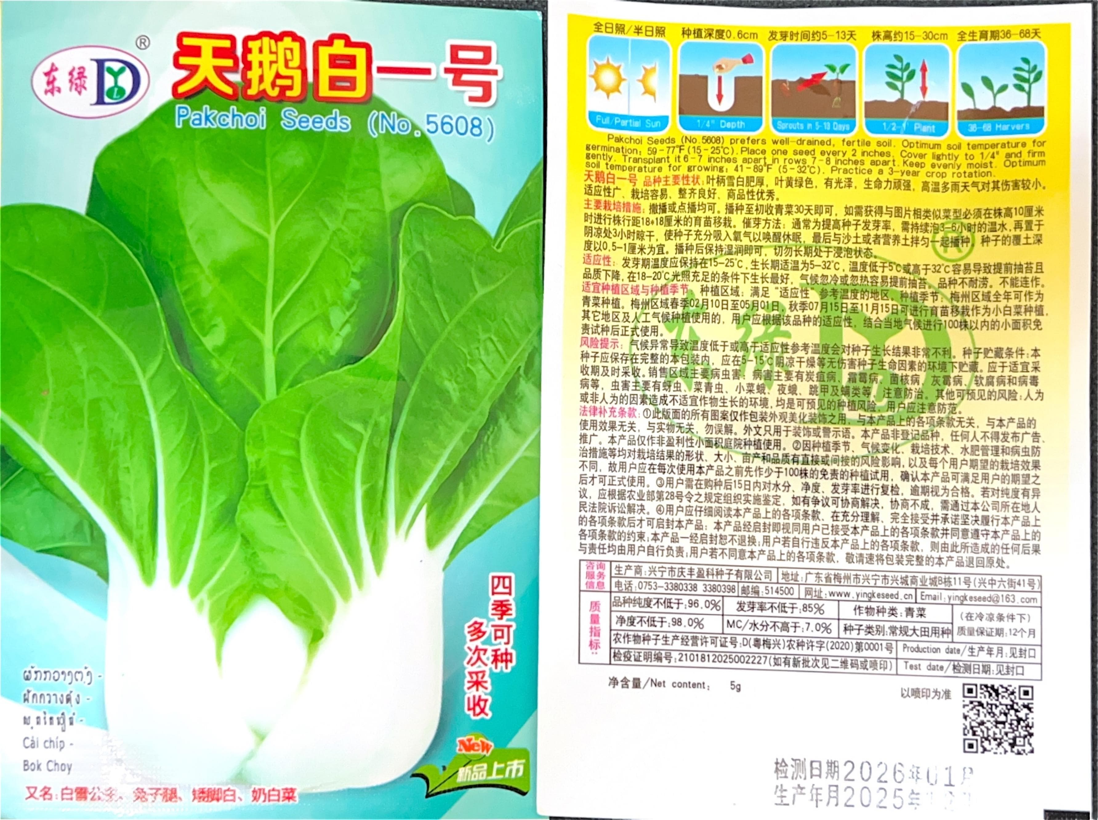 想早上号 品丰要性状 Vegetable Seeds