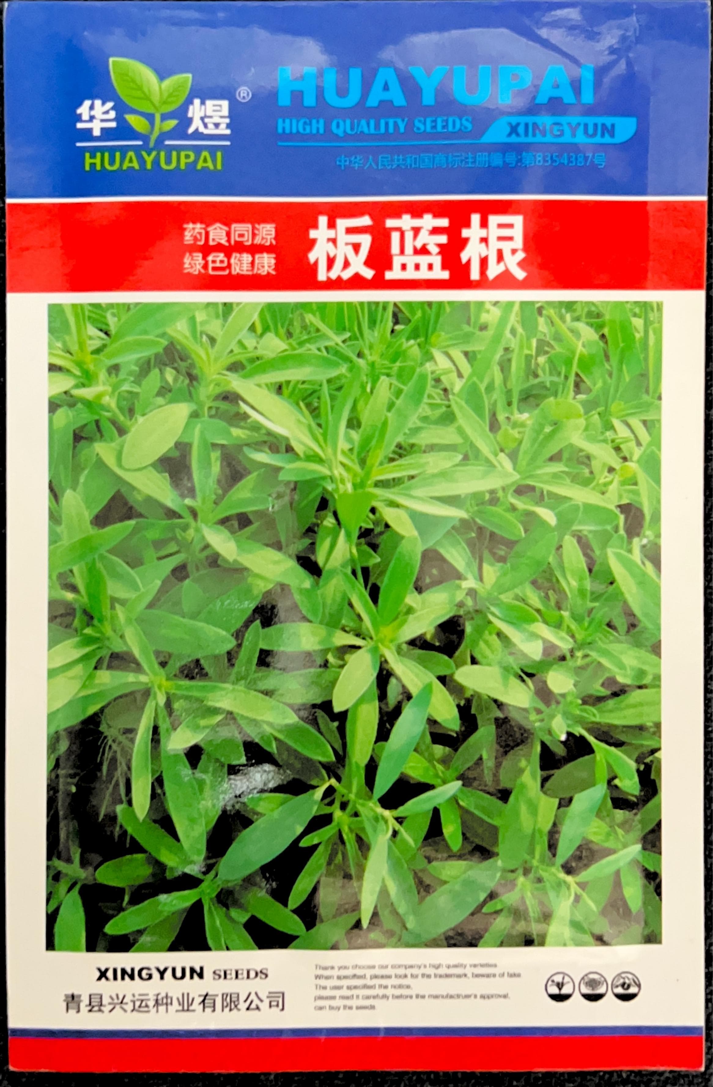 板蓝根 Woad Seeds front