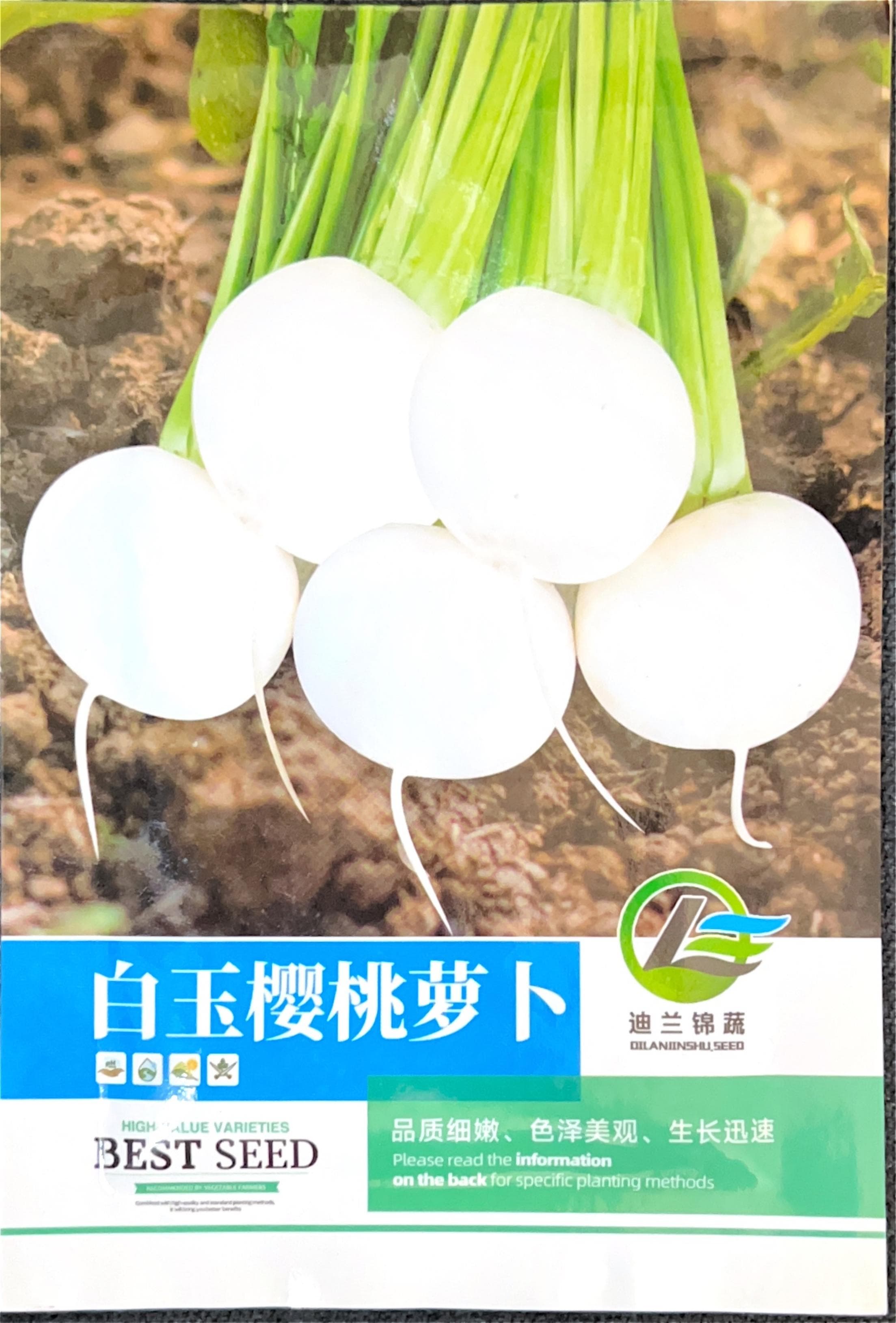 白玉樱桃萝卜 Radish Seeds front